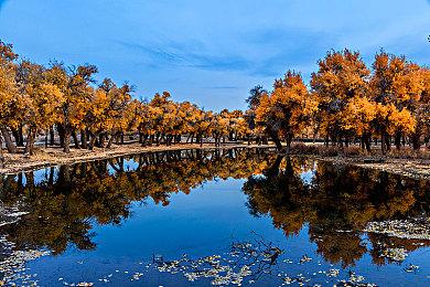 《JOJO的奇妙冒险》9月1日发售 全新预告公开